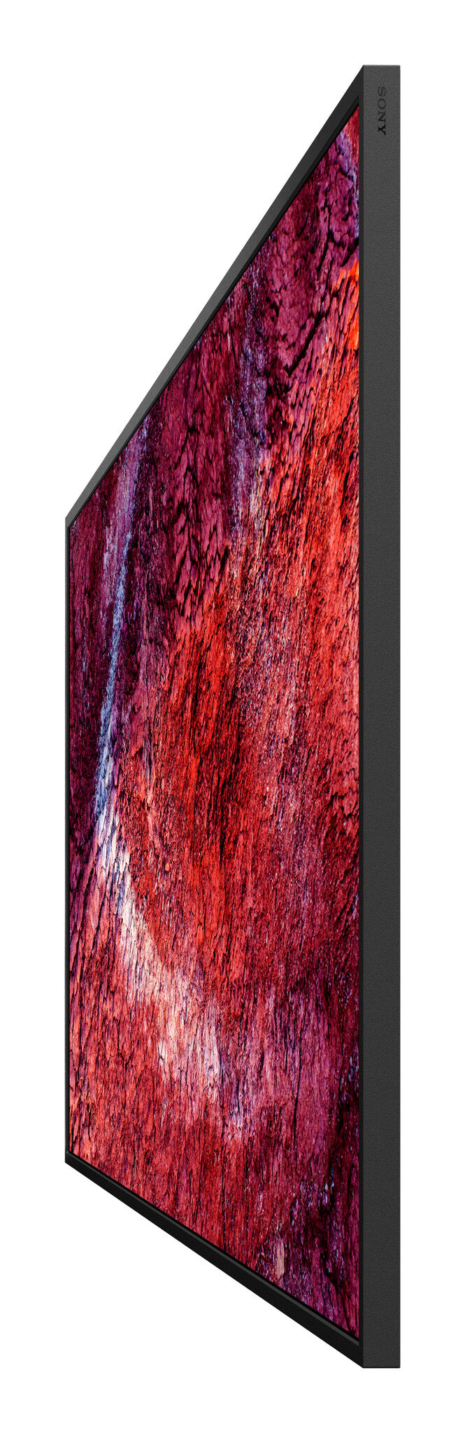 Sony BRAVIA FW-65BZ40P very high brightness 700 nit 4K HDR professional display with unique Deep Black Non-Glare Premium and IP5X dust resistance