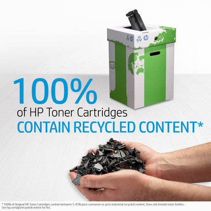 HP 504X 2-pack High Yield Black Original LaserJet Toner Cartridges