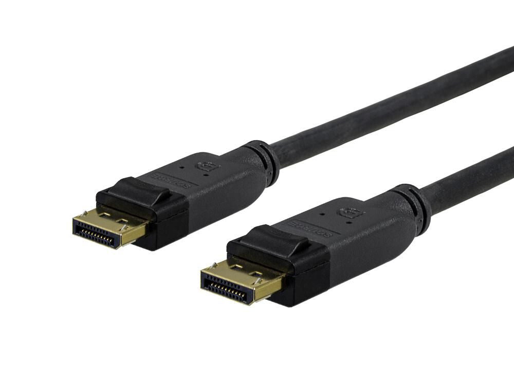 Vivolink PRODP10 DisplayPort cable 10 m Black