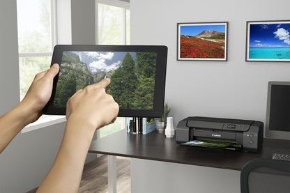 Canon PIXMA PRO-200s photo printer Inkjet 4800 x 2400 DPI Wi-Fi