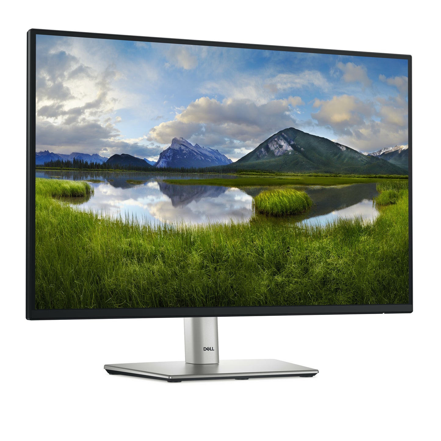 DELL Pro Plus P2425E computer monitor 61 cm (24") 1920 x 1200 pixels WUXGA LCD Black