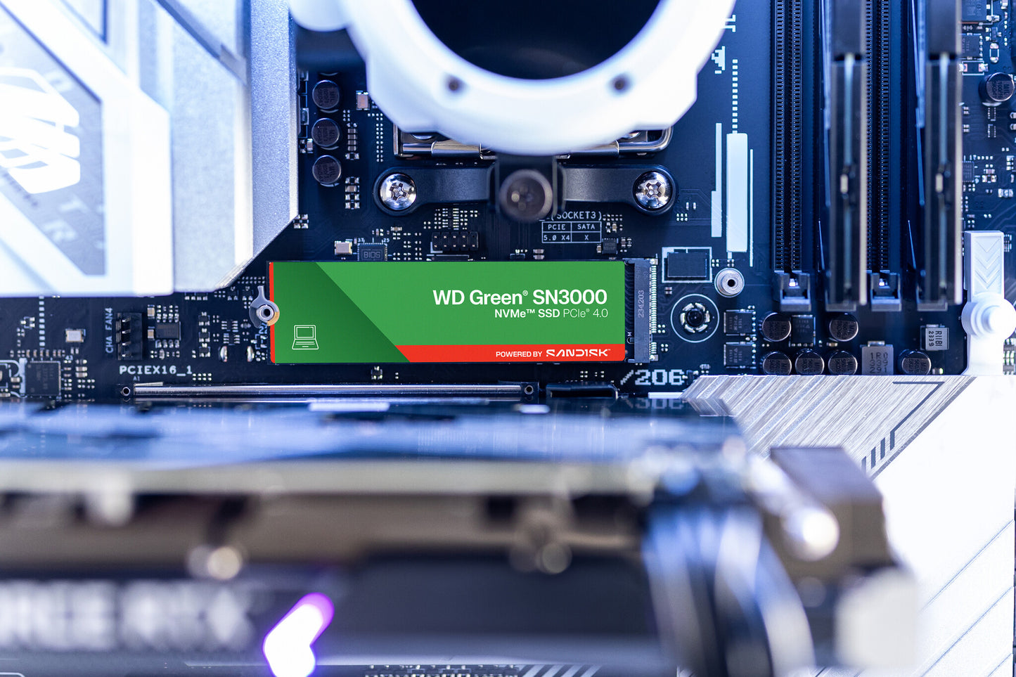 SanDisk Green WD ™ SN3000 NVMe™ SSD POWERED BY 500 GB