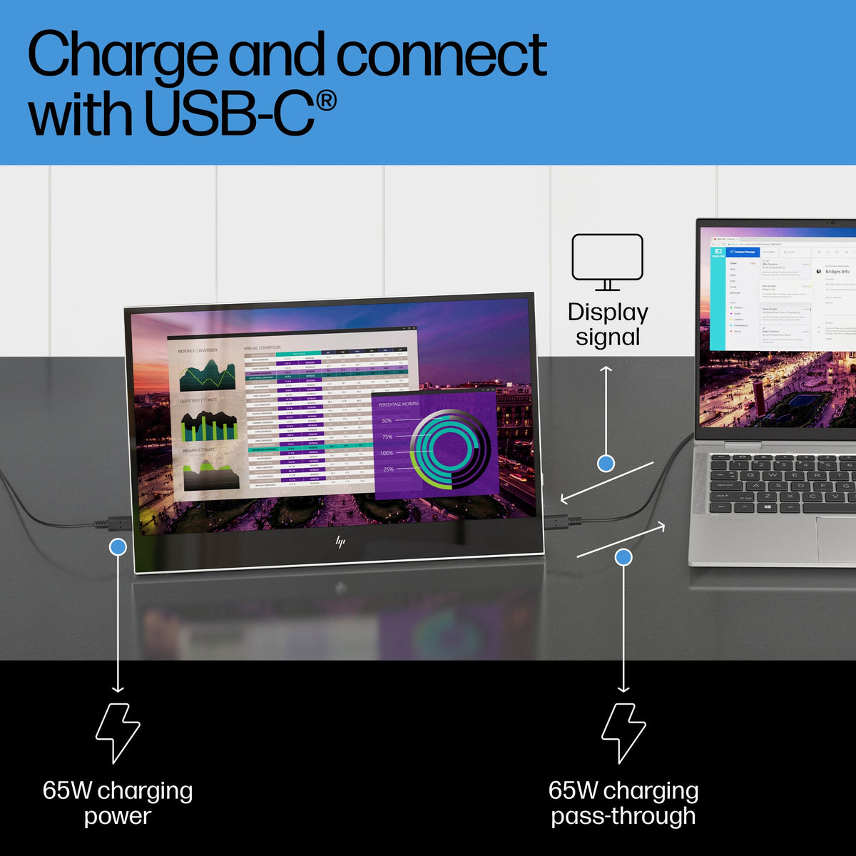 HP E-Series E14 G4 Portable Monitor