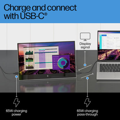 HP E-Series E14 G4 Portable Monitor