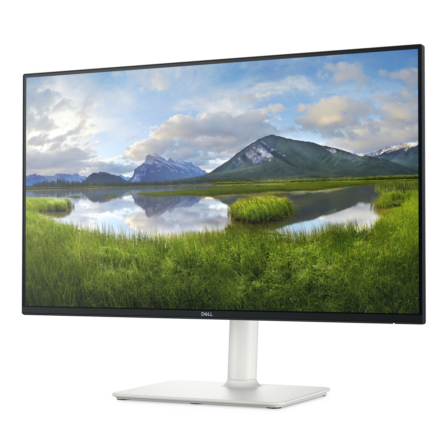 DELL S Series S2425HS computer monitor 60.5 cm (23.8") 1920 x 1080 pixels Full HD LCD Black, Silver