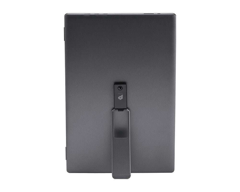 MSI PRO MP161DE E2 computer monitor 39.6 cm (15.6") 1920 x 1080 pixels Full HD LED Black