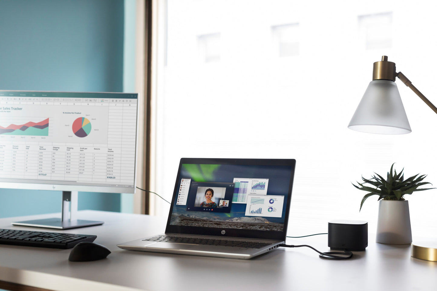 HP USB Fingerprint Mouse