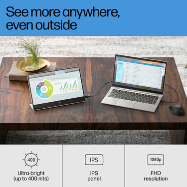HP E-Series E14 G4 Portable Monitor