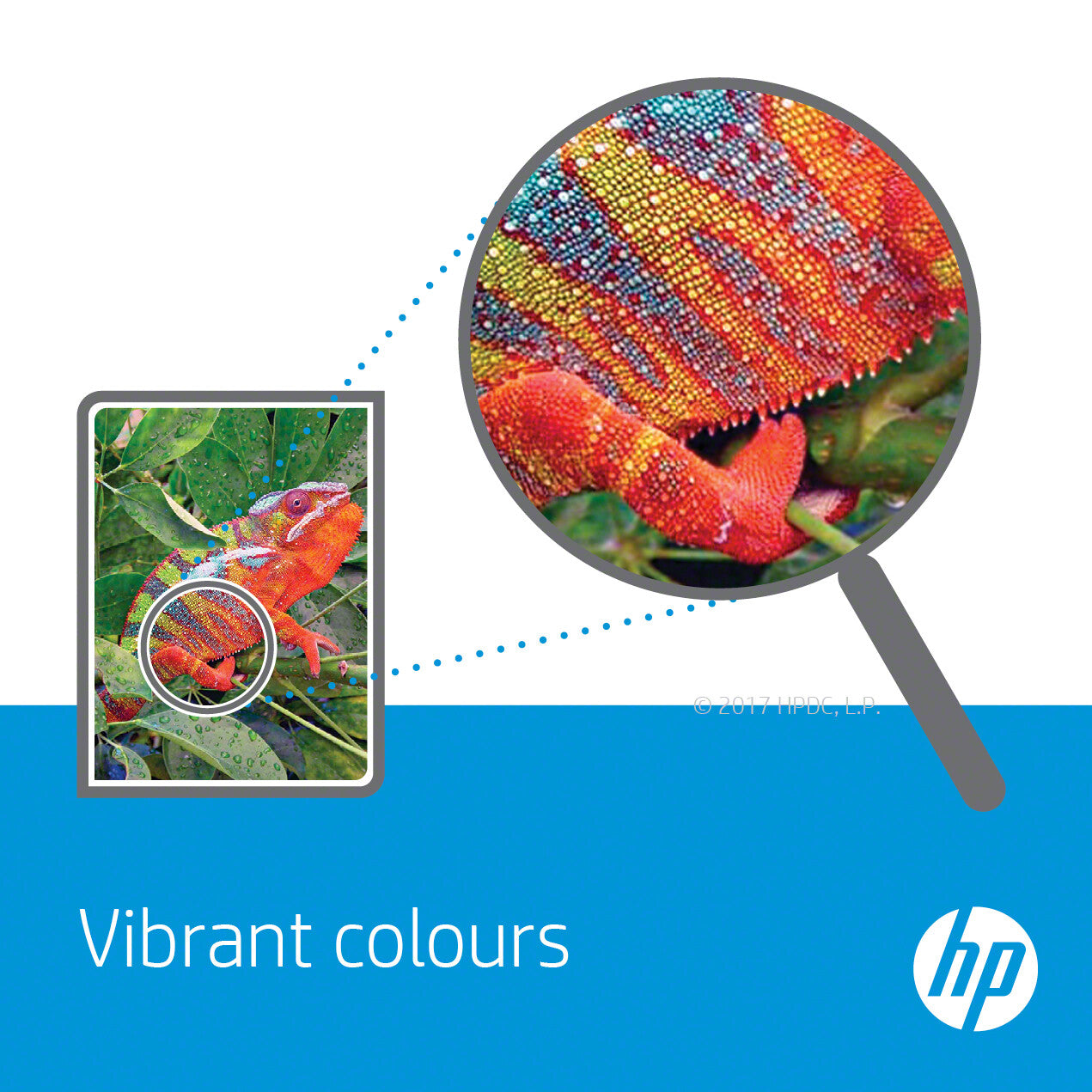HP Color LaserJet Transfer Kit