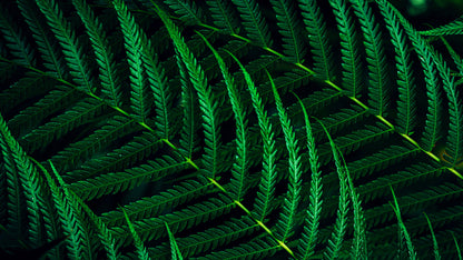 Philips 5000 series 24B2G5200/00 computer monitor 60.5 cm (23.8") 1920 x 1080 pixels Full HD LCD Anthracite