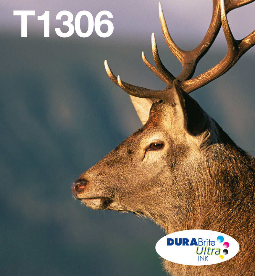 Epson Stag T1306 DURABrite Ultra Multipack 3-colours EasyMail Ink