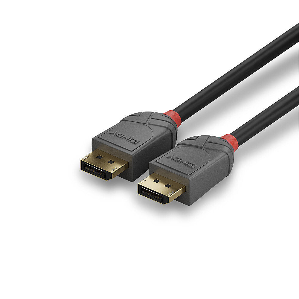 Lindy 2m DisplayPort 1.4 Cable, Anthra Line