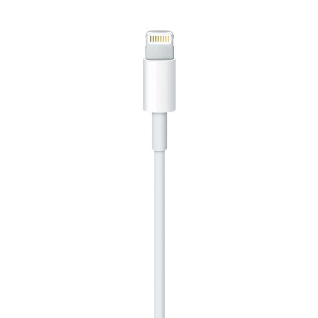 Apple Lightning to USB Cable (2 m)