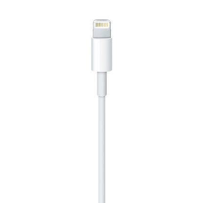 Apple Lightning to USB Cable (2 m)