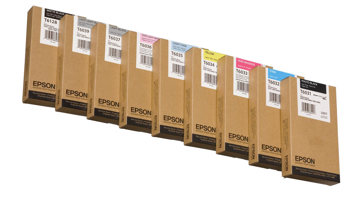 Epson Singlepack Photo Black T603100 220 ml ink cartridge