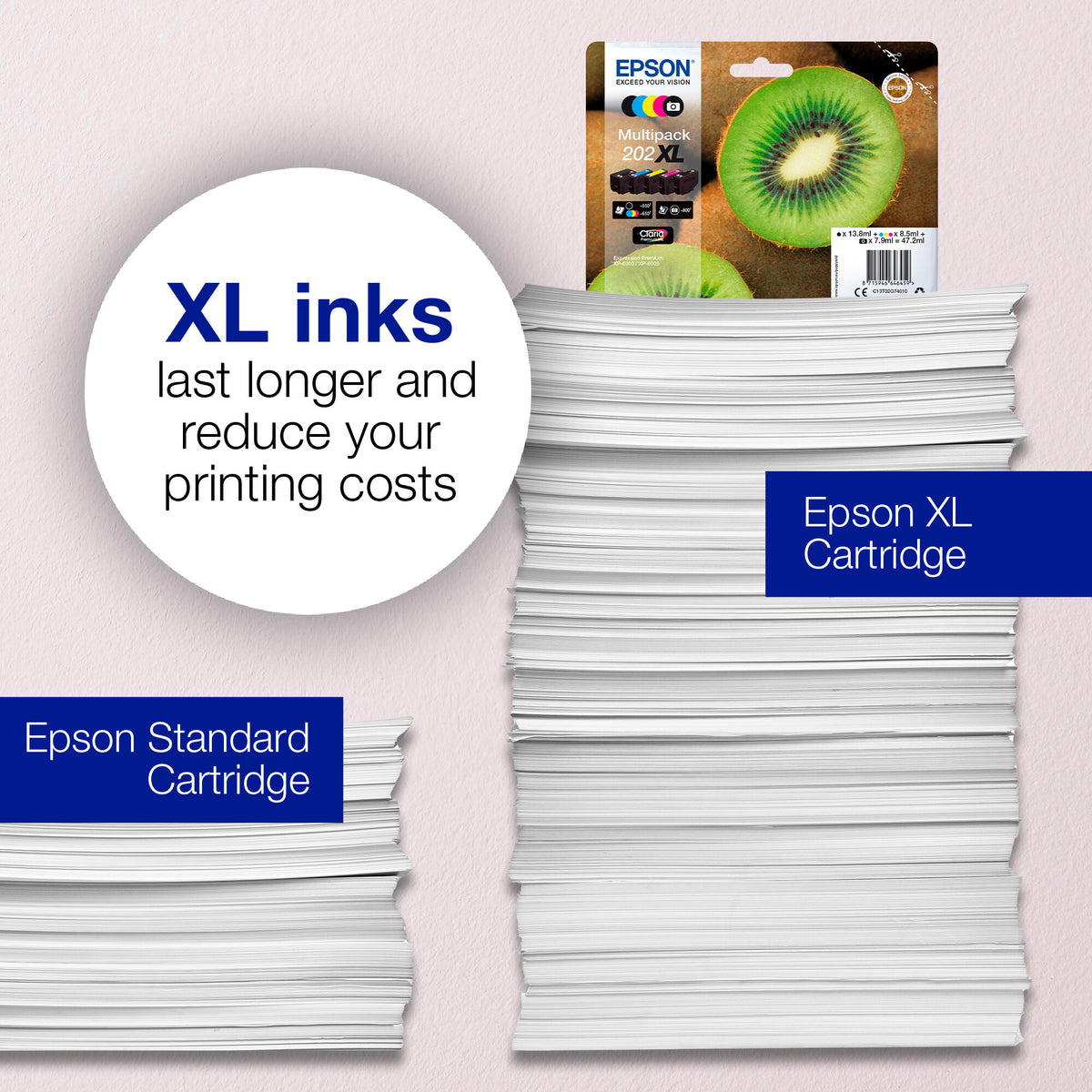 Epson Kiwi Singlepack Black 202 Claria Premium Ink