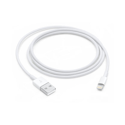 Apple Lightning to USB Cable (1В m)