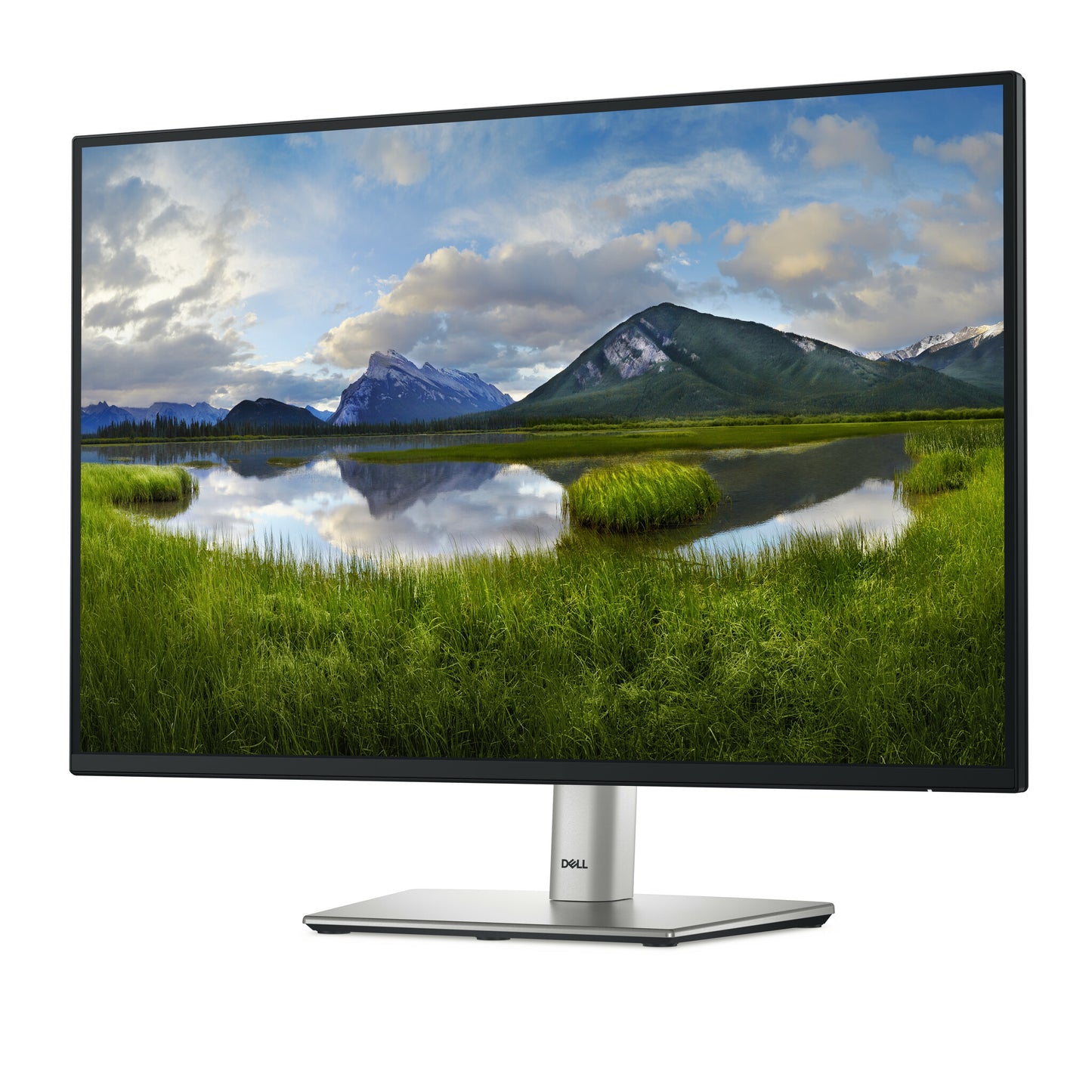 DELL Pro Plus P2425E computer monitor 61.1 cm (24.1") 1920 x 1200 pixels WUXGA LCD Black