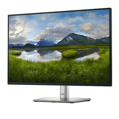DELL Pro Plus P2425E computer monitor 61 cm (24") 1920 x 1200 pixels WUXGA LCD Black