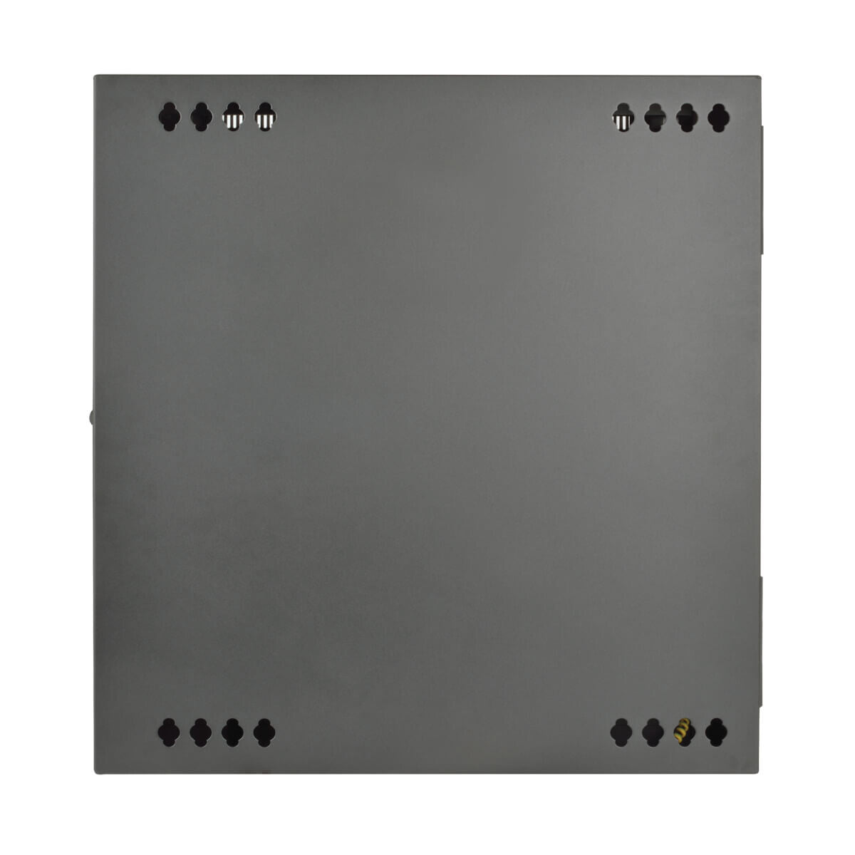 Tripp Lite SRW12US SmartRack 12U Low-Profile Switch-Depth Wall-Mount Small Rack Enclosure, Hinged Back
