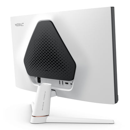 BenQ EX251 computer monitor 62.2 cm (24.5") 1920 x 1080 pixels Full HD LED Black, White