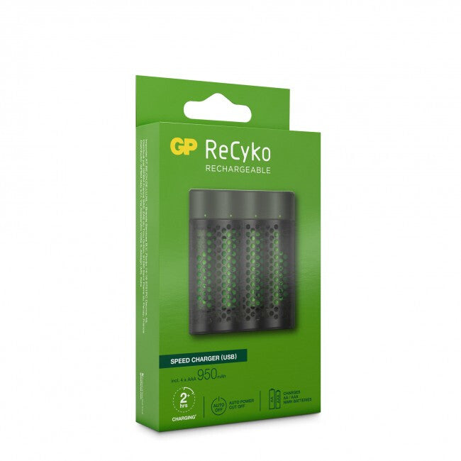 GP Batteries M451/100AAAHCE-2WB4 battery charger Household battery DC