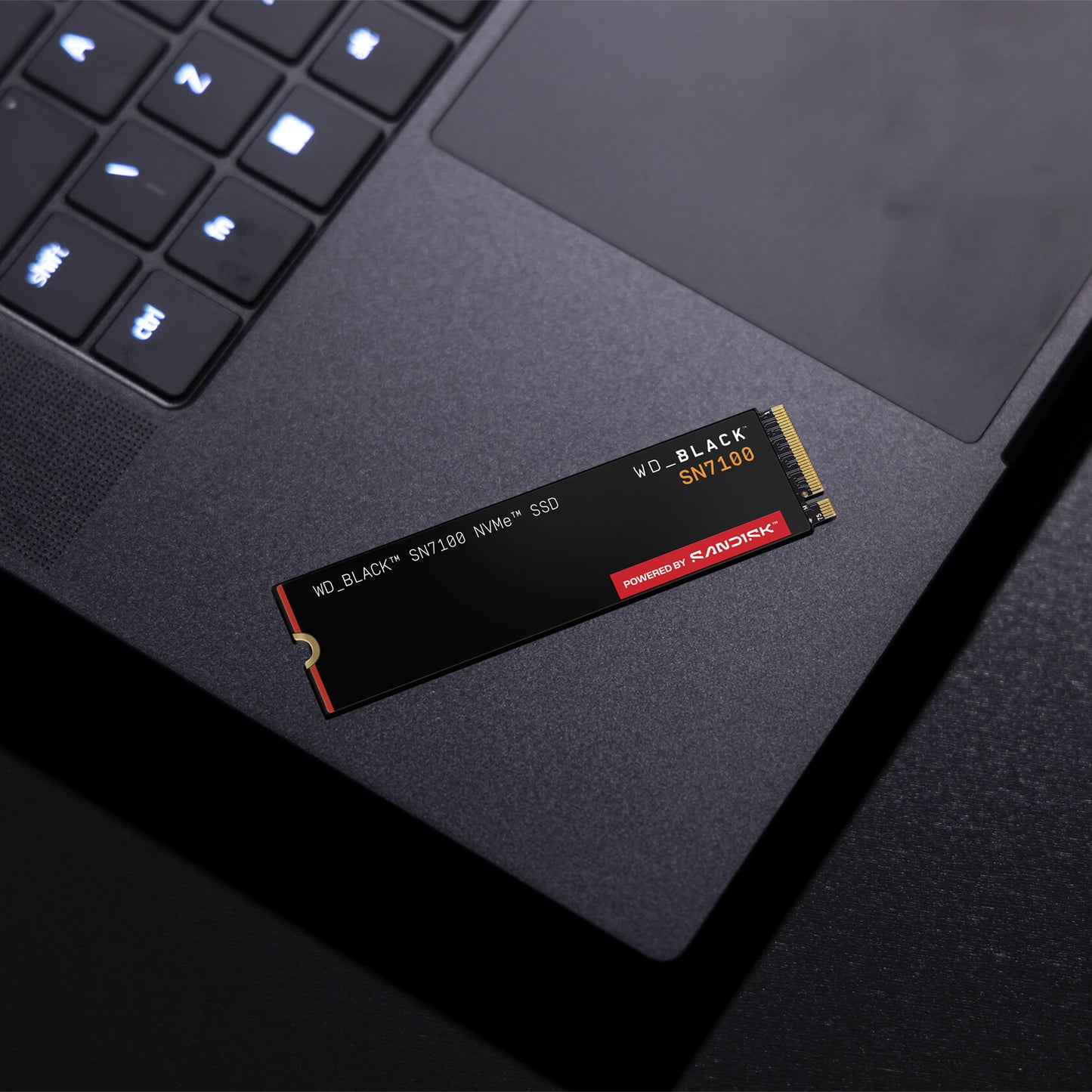 Western Digital Black WD_BLACK™ SN7100 NVMe™ SSD POWERED BY SANDISK 1 TB