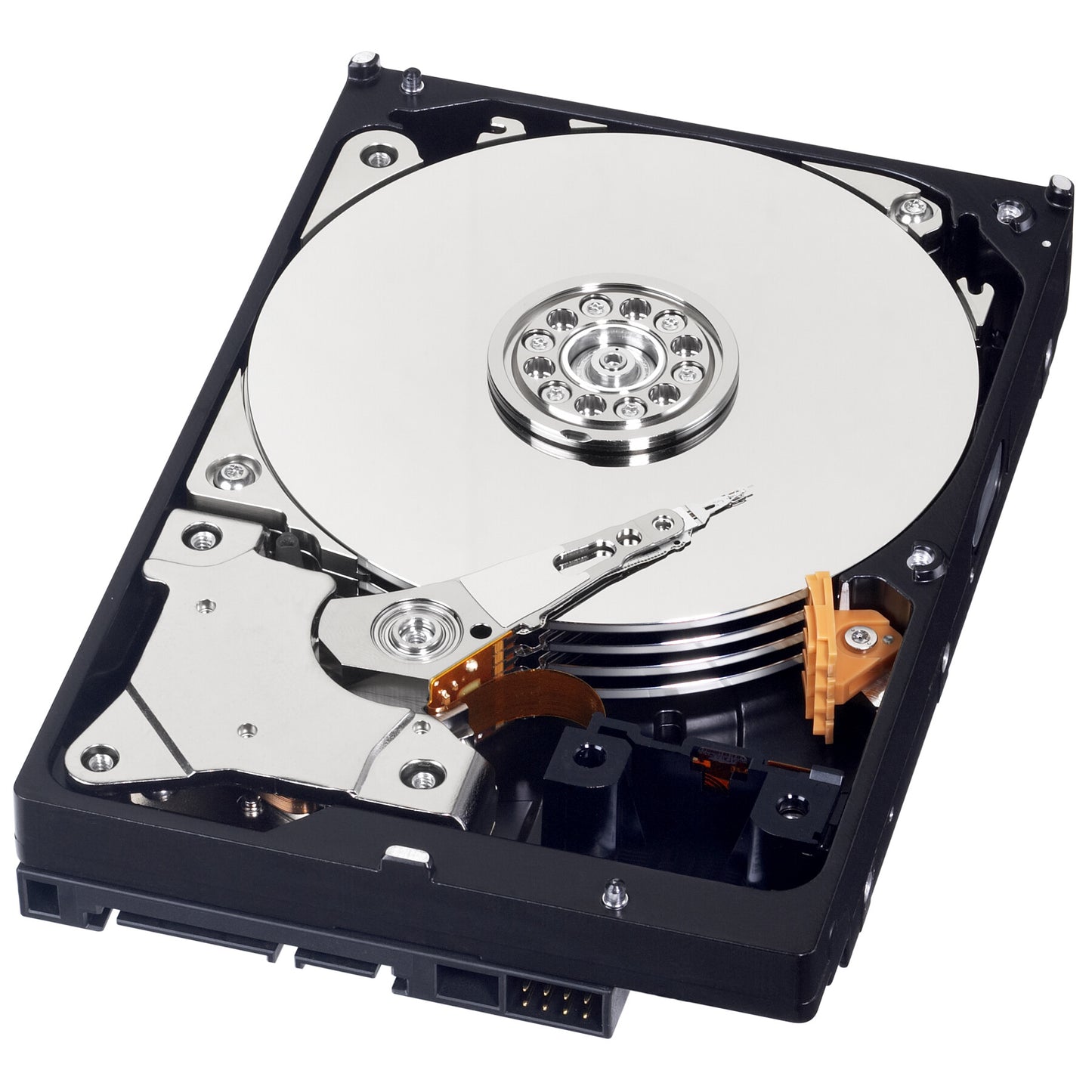 Western Digital Blue internal hard drive 500 GB 7200 RPM 32 MB 3.5" Serial ATA III