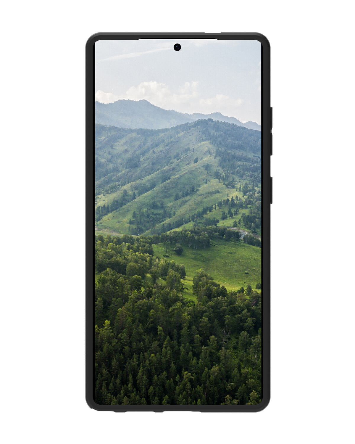 dbramante1928 Greenland mobile phone case 17.3 cm (6.8") Cover Black