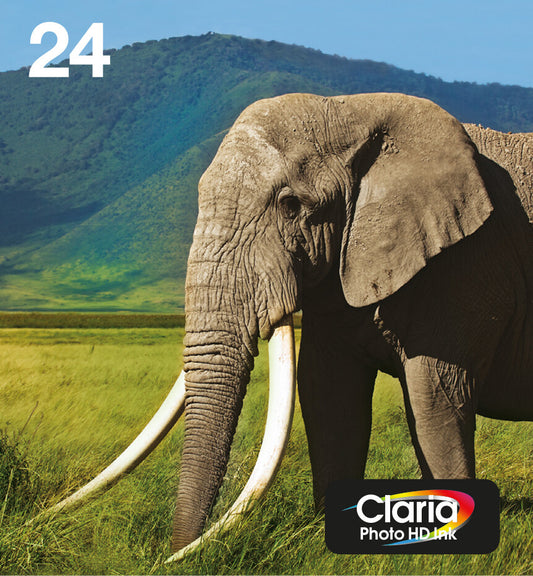 Epson 24 Elephant Claria Photo HD Multipack 6-colours EasyMail ink bottle