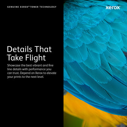 Xerox 106R03746 toner cartridge 1 pc(s) Original Yellow