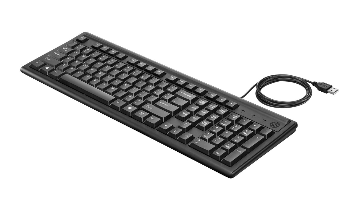 HP Keyboard 100