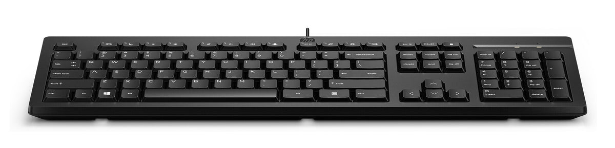 HP 125 USB WD KBD (Bulk 12)