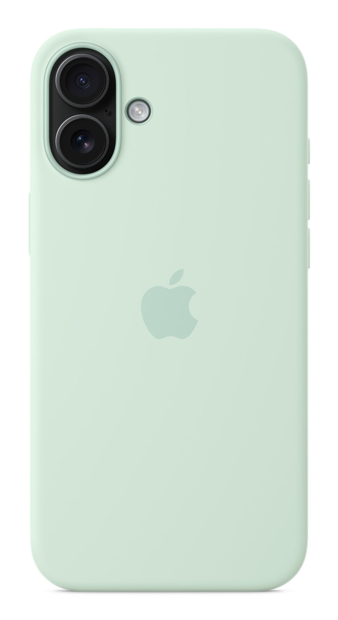 Apple MDGU4ZM/A mobile phone case 17 cm (6.7") Cover Aquamarine