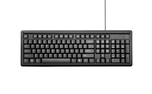 HP Keyboard 100