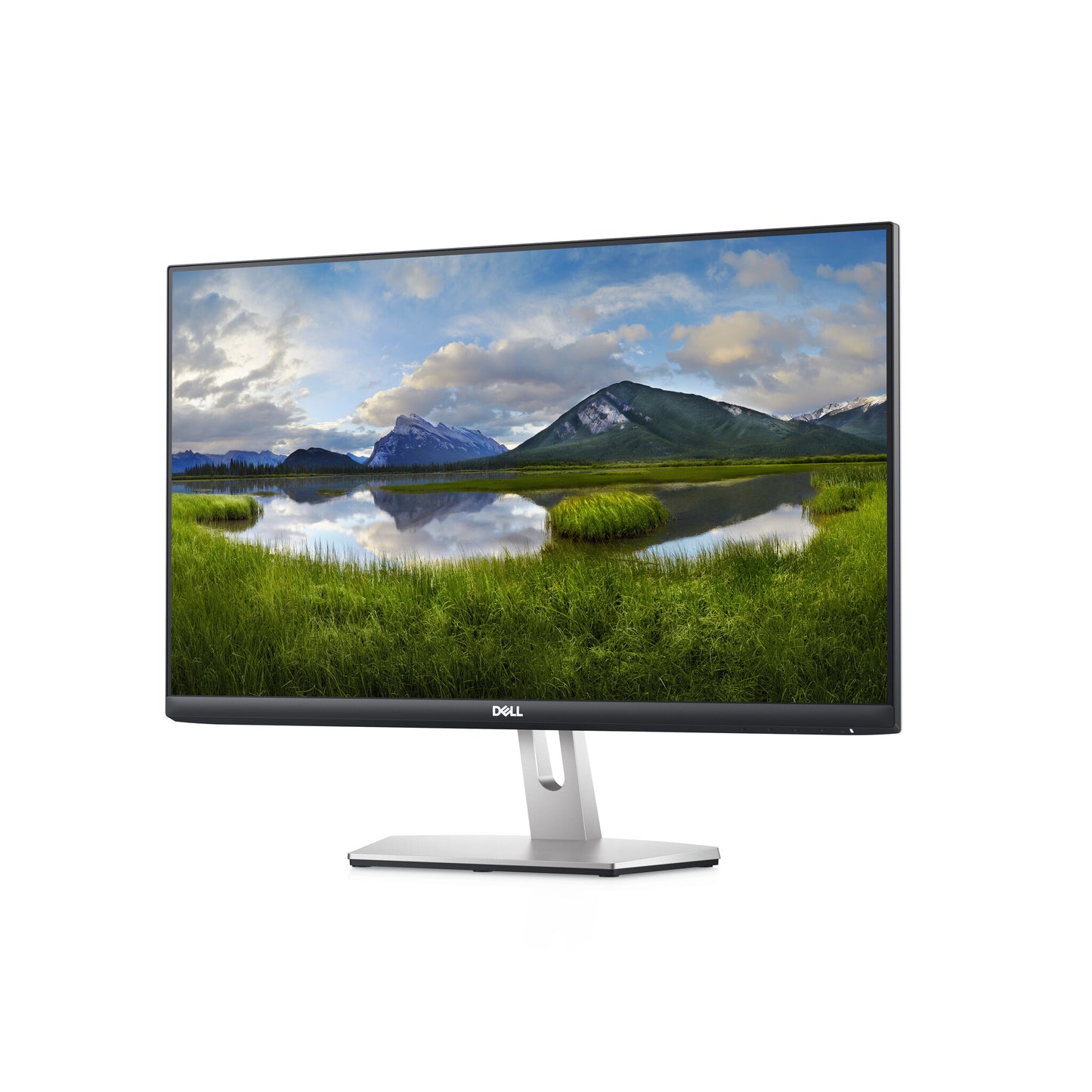 DELL S Series S2421HN LED display 60.5 cm (23.8") 1920 x 1080 pixels Full HD LCD Grey