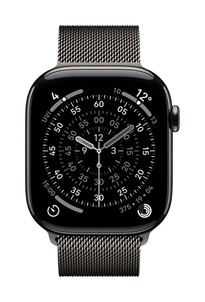 Apple MGJ74ZM/A smart wearable accessory Band Slate colour Stainless steel