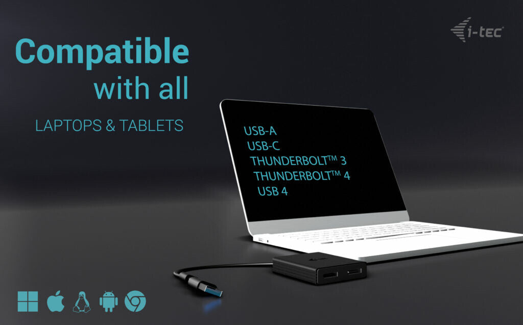 i-tec USB-A/USB-C Dual 4K/60 Hz DisplayPort Video Adapter